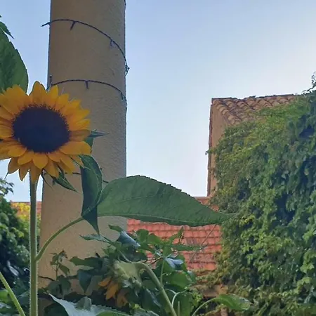 Appartement Ruza Dubrovnik